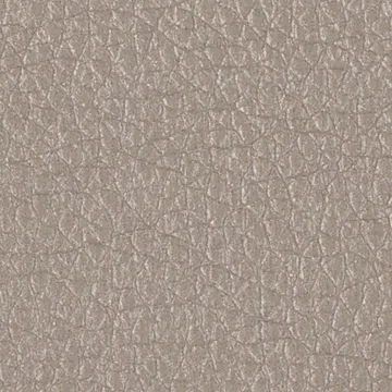 P77004-11