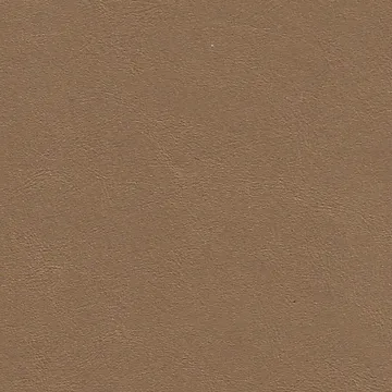 P77005-03