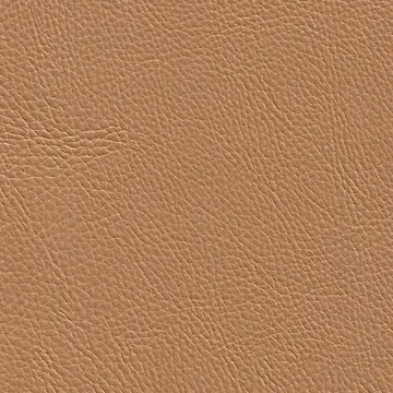 P77007-02