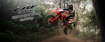 CRF300L