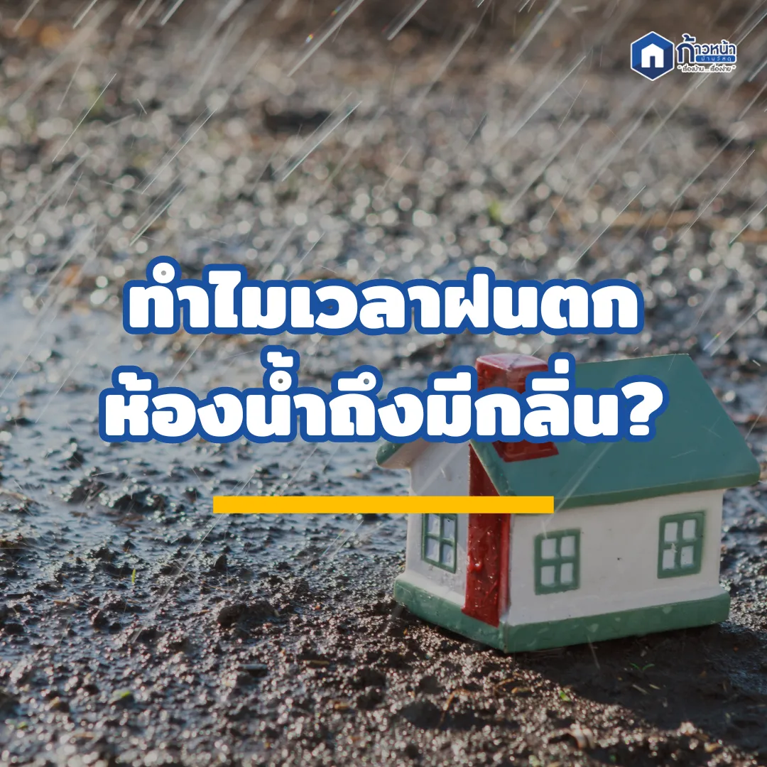 ภาพประกอบบทความ
