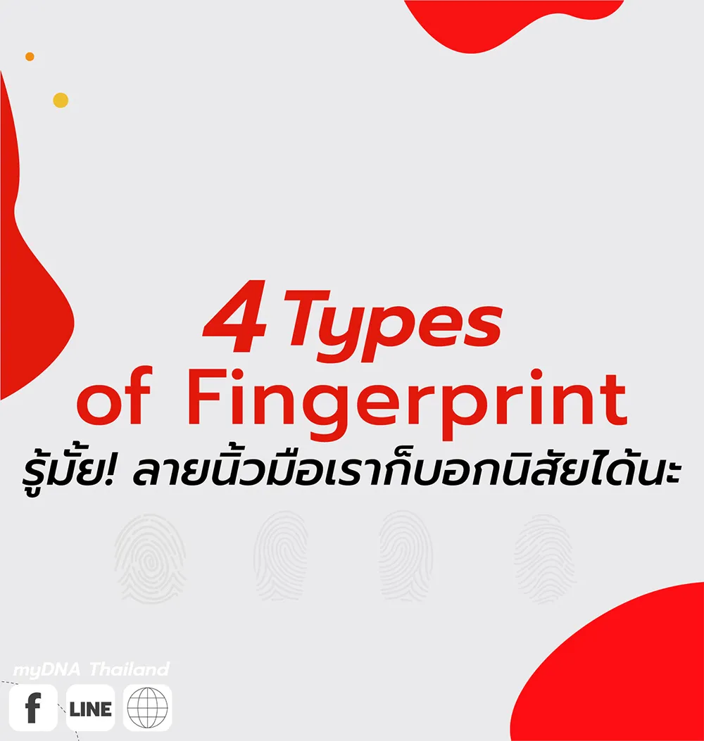 รู้มั้ย-ลายนิ้วมือเราก็บอกนิสัยได้นะ