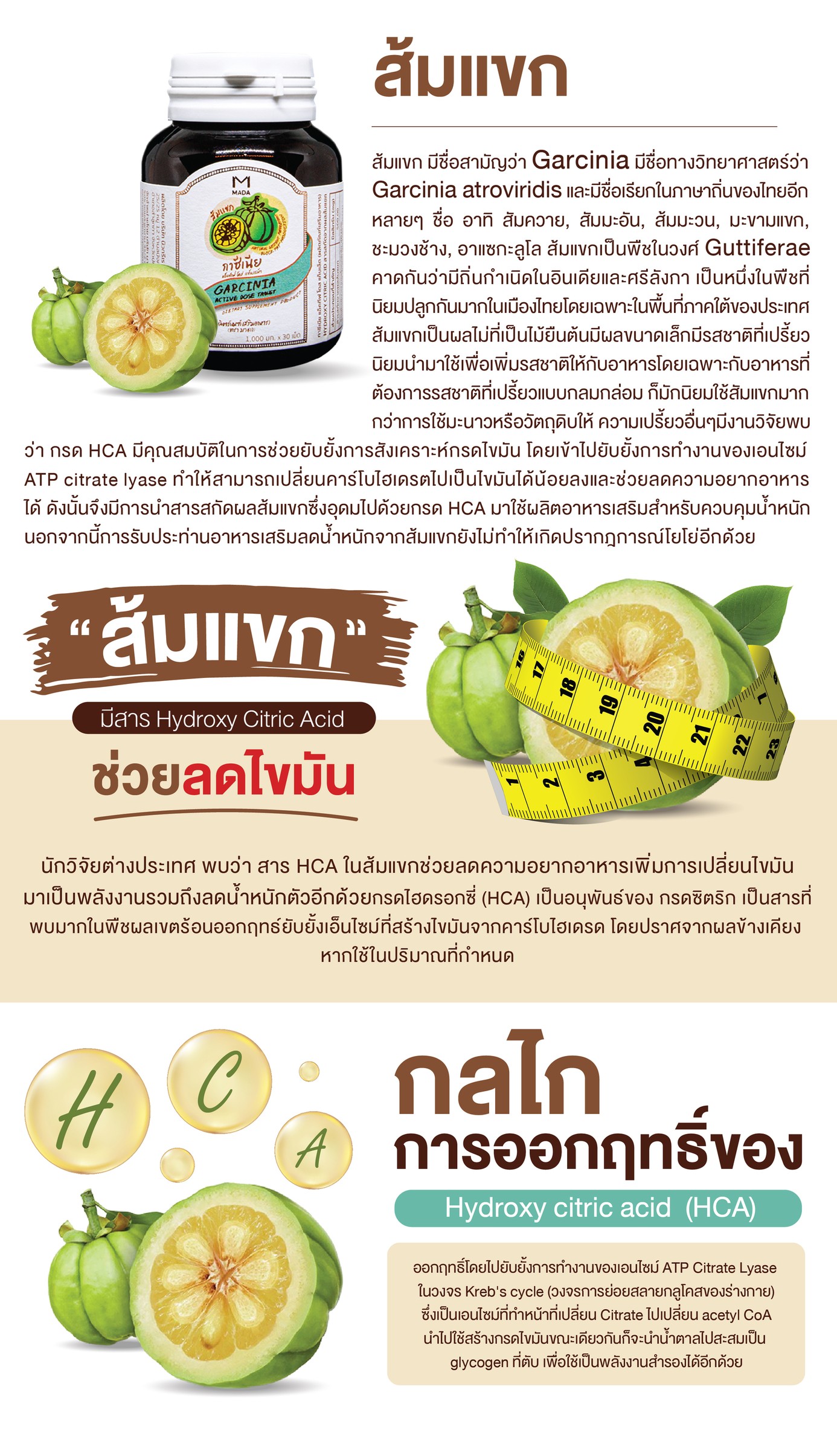 Why? Garcinia Cambogia