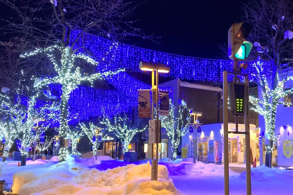 HOKKAIDA-SNOW-VIBES-4