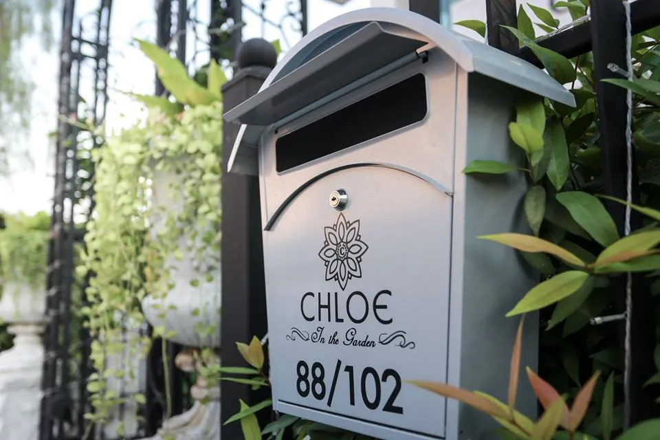 Chloe(3)