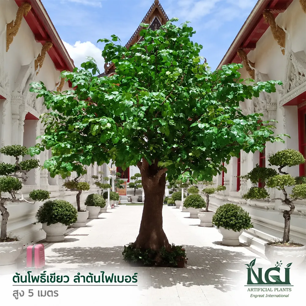 ต้นโพธิ์เขียวลำต้นไฟเบอร์
