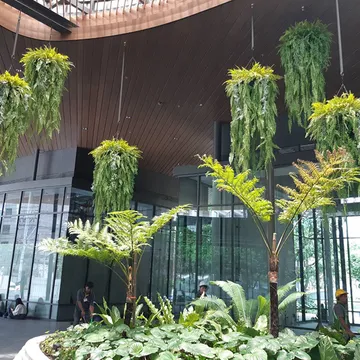 ช่อแขวน