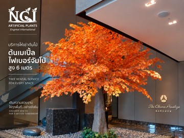 บริการของเราRentalservices