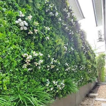 สวนพื้น-และผนัง