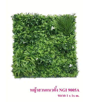 หญ้าสวนผนัง(2)