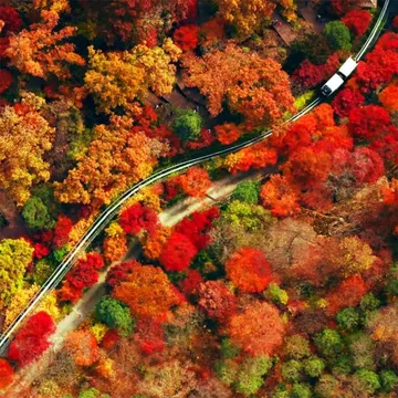 เกาหลี-KOREA