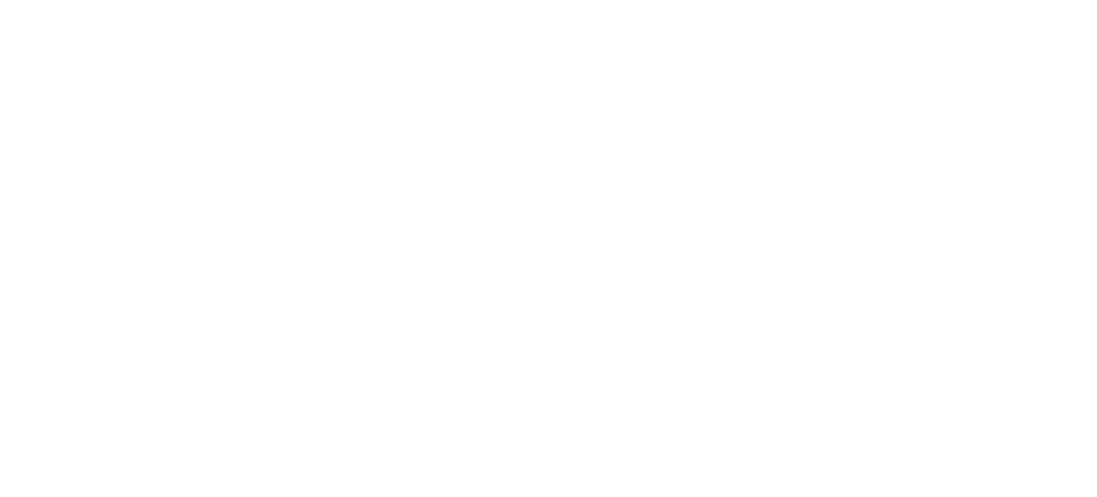 2013
