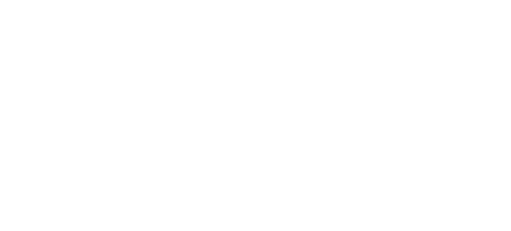 2019