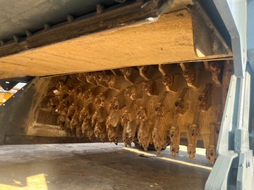 S17776683