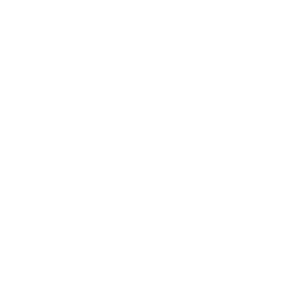 nisssan