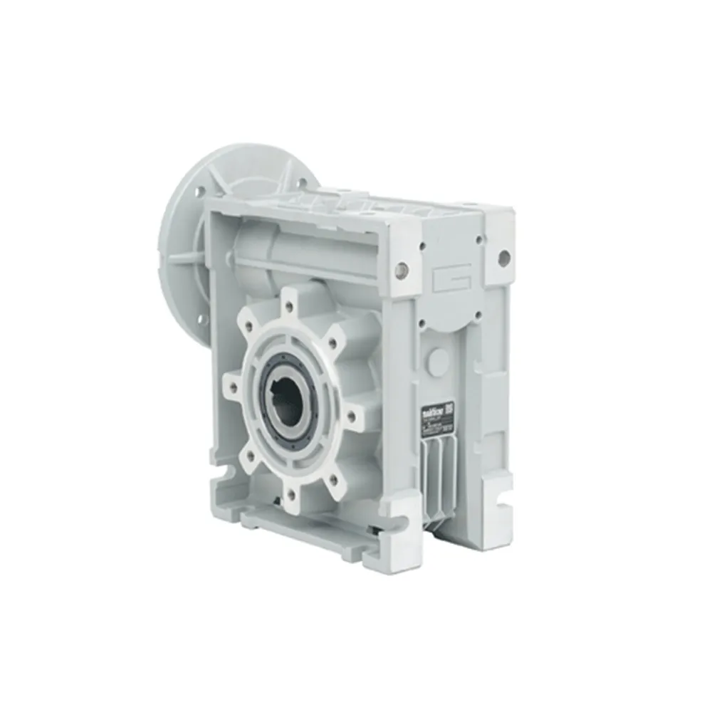 Worm-Gear(2)