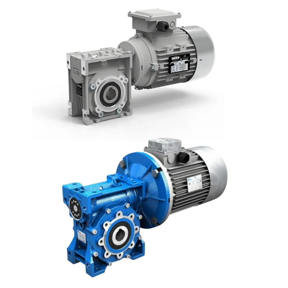 Worm-gear-motor