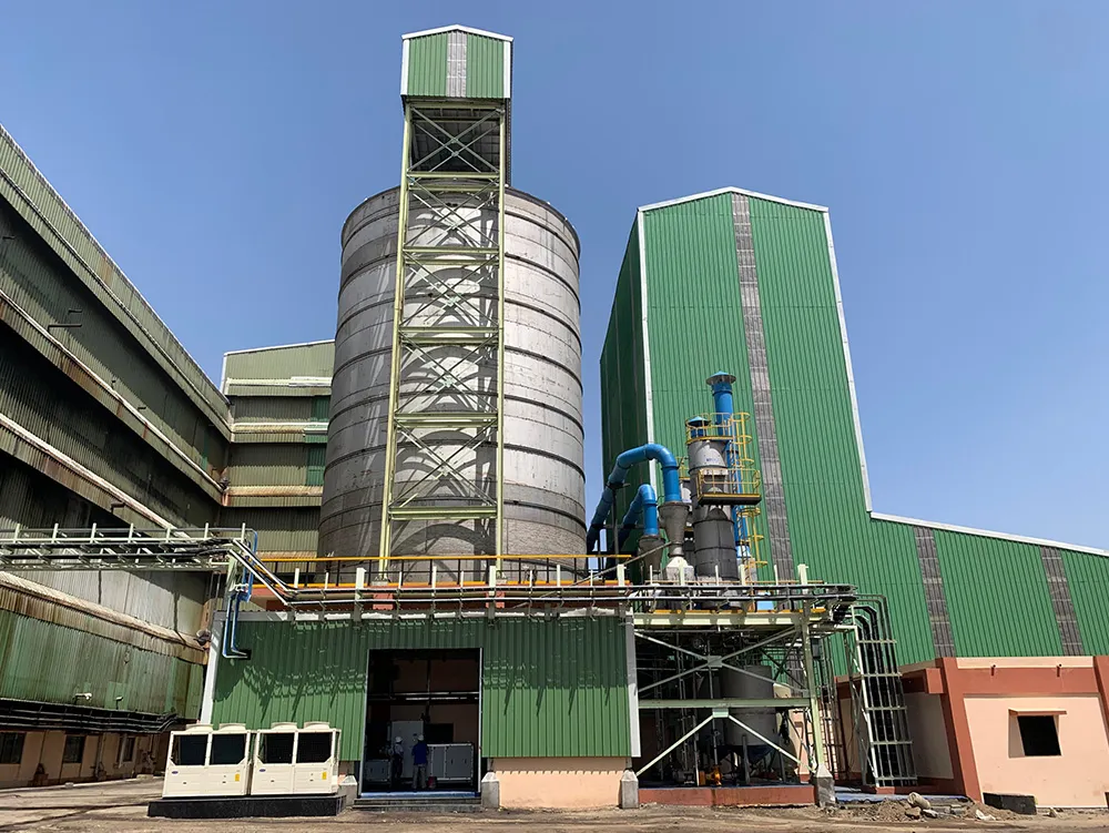SHREE-RENUKA-SUGAR-LTD