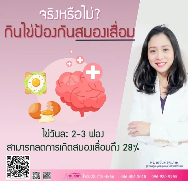 จริงหรือไม่--กินไข่-ช่วยป้องกันสมองเสื่อม