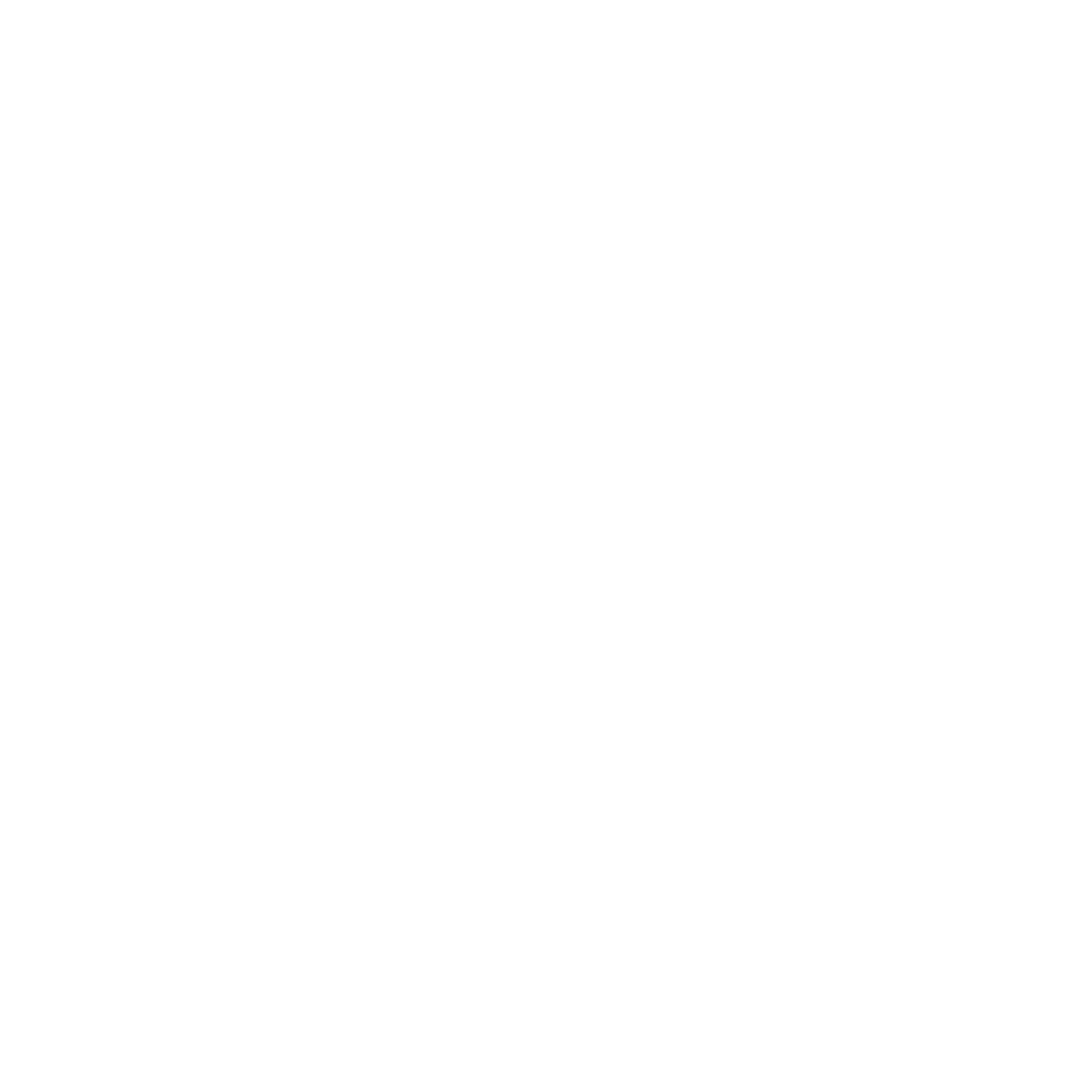 Fullface