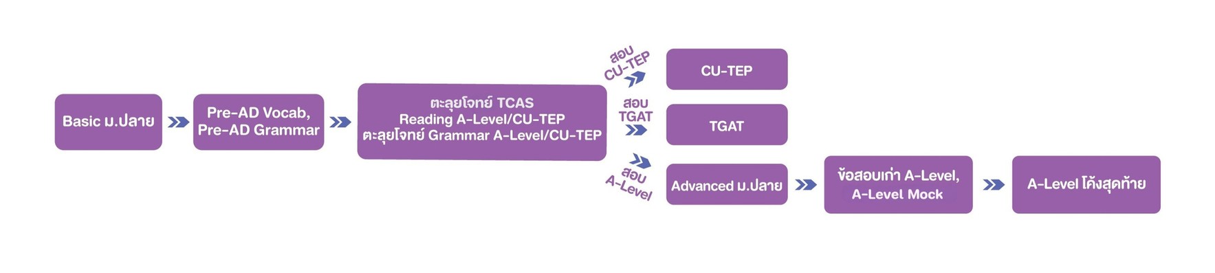 ผังม.ปลาย_ไม่มีหัวข้อ