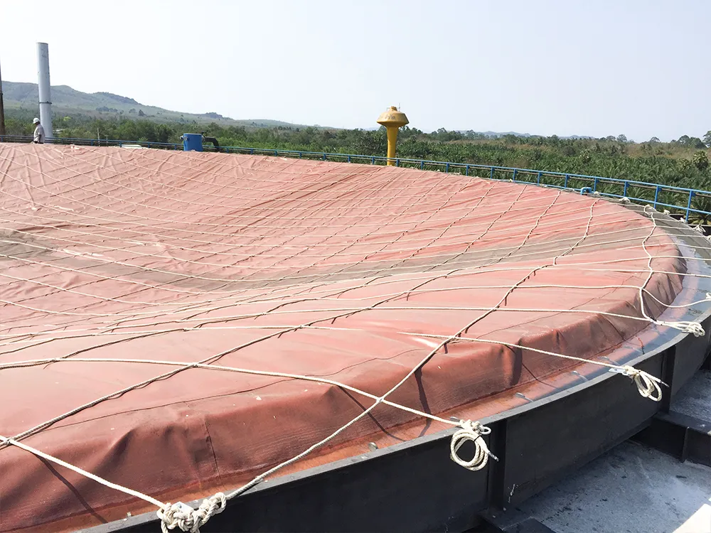 HDPE biogas digester