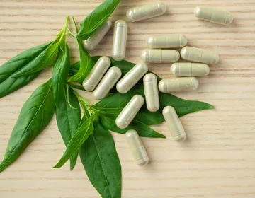 Supplement