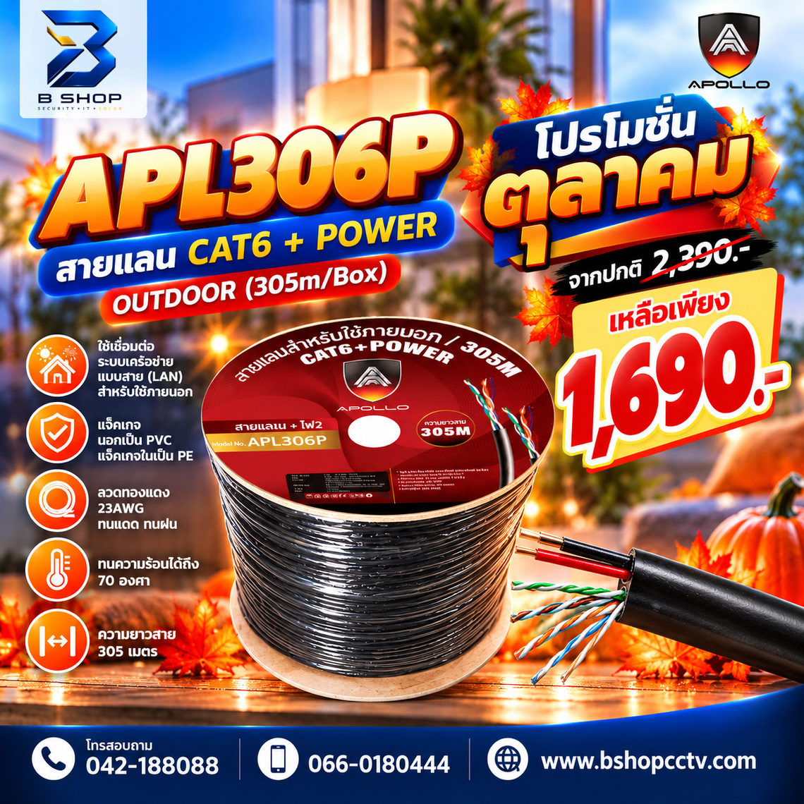 306P