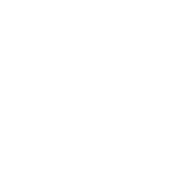logobrand12