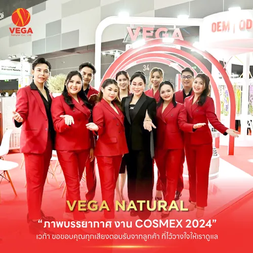 vegacosmex2024-01
