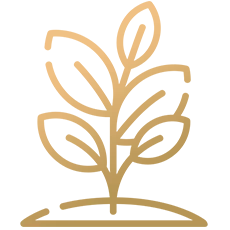 easyplant2home-icon1-1