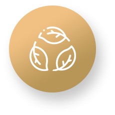 easyplant2home-icon3