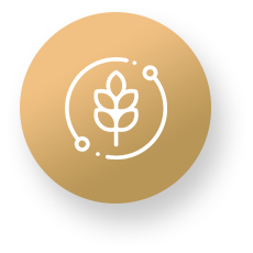 easyplant2home-icon6