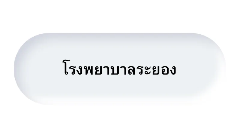 บริษัทโฟลว์เซิร์ฟ(ประเทศไทย)จำกัดFLOWSERVE(THAILAND)LTD