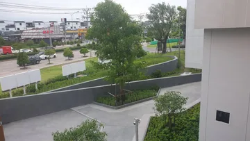 21603260