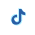 tiktok1