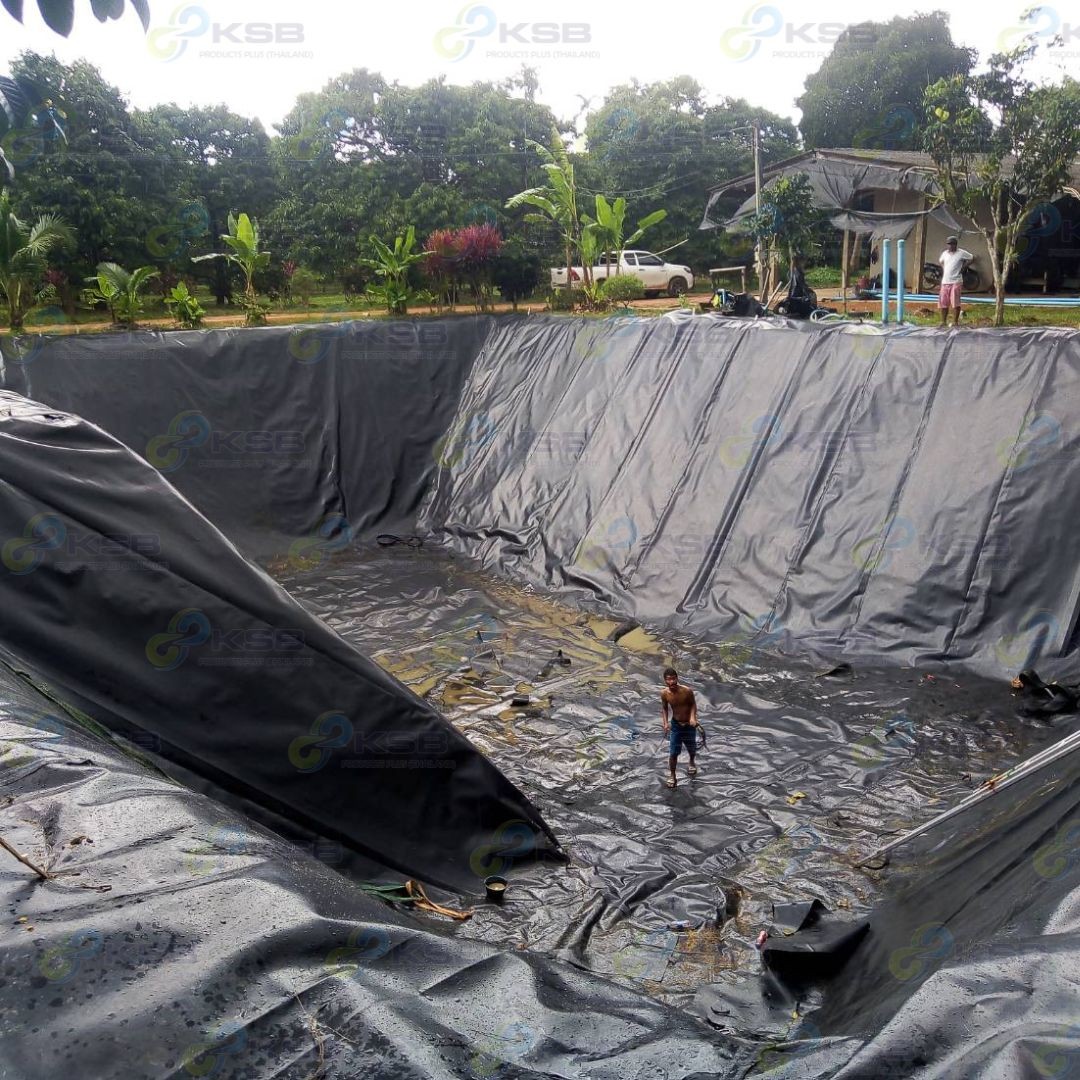 งานปูบ่อHDPE1mmจันทบุรี2