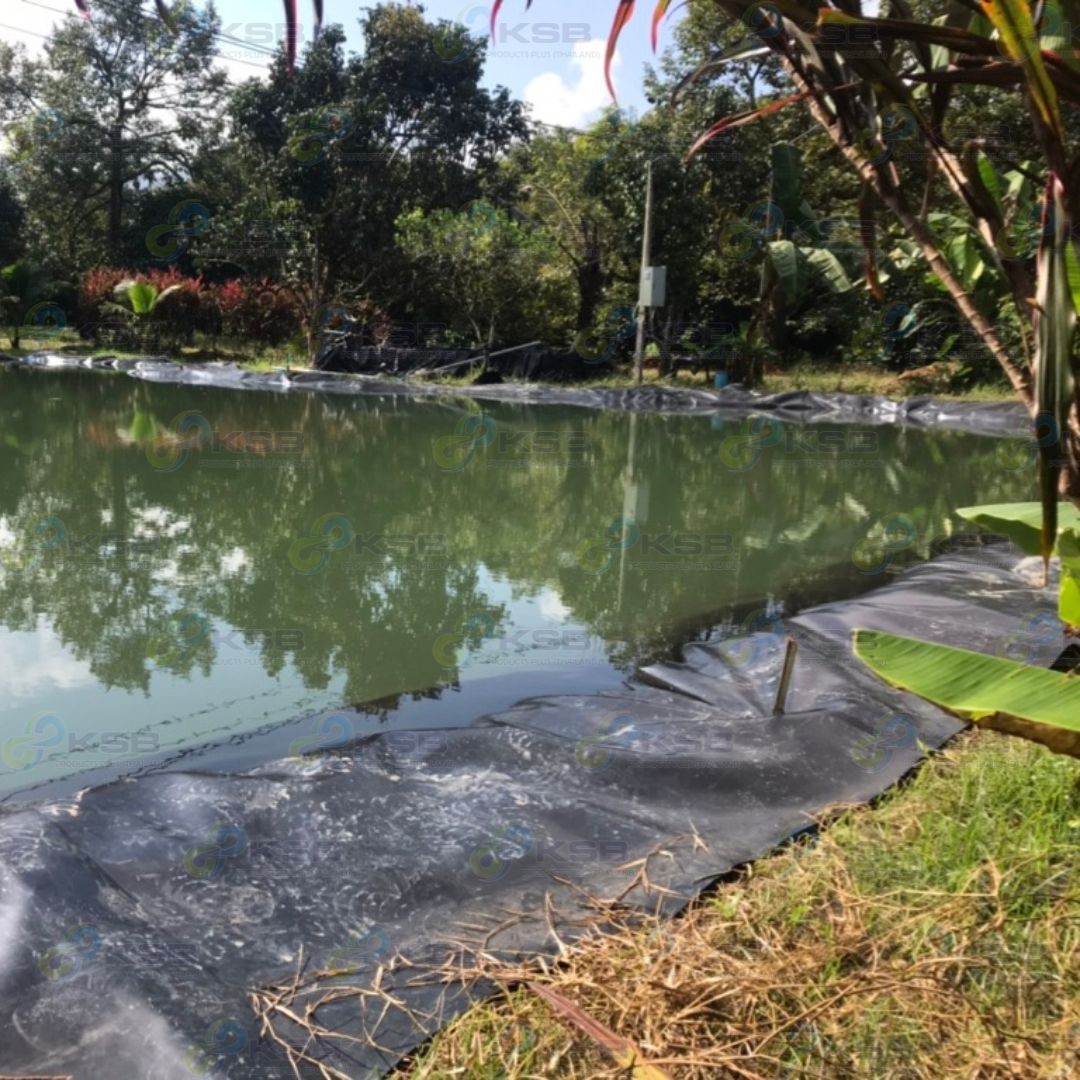 งานปูบ่อHDPE1mmจันทบุรี3