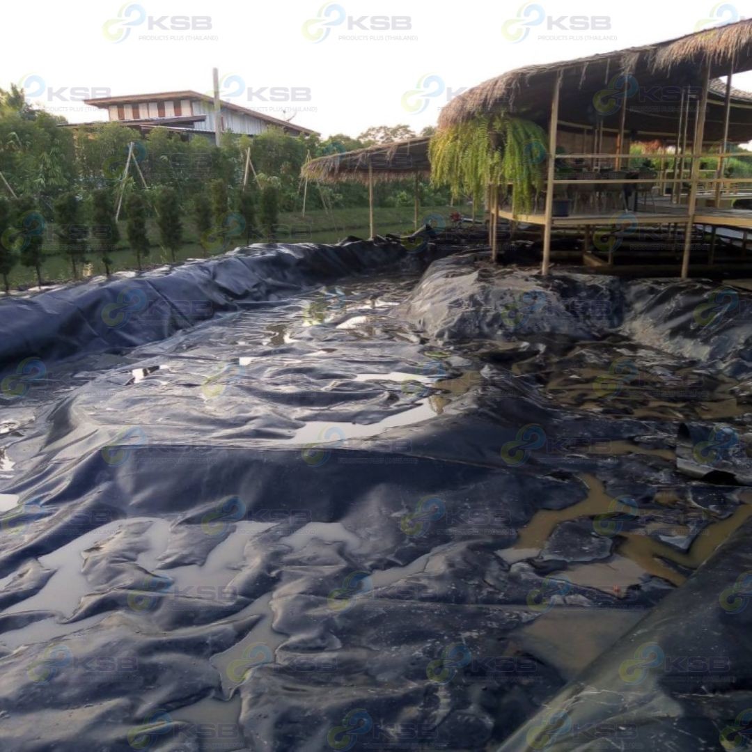 งานปูบ่อHDPE1mmนครปฐม2