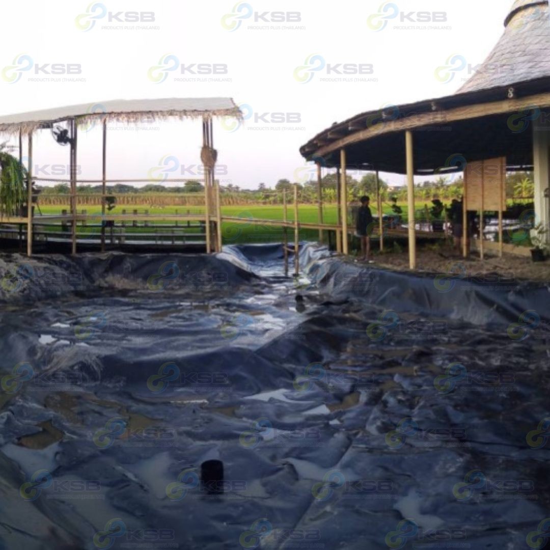 งานปูบ่อHDPE1mmนครปฐม