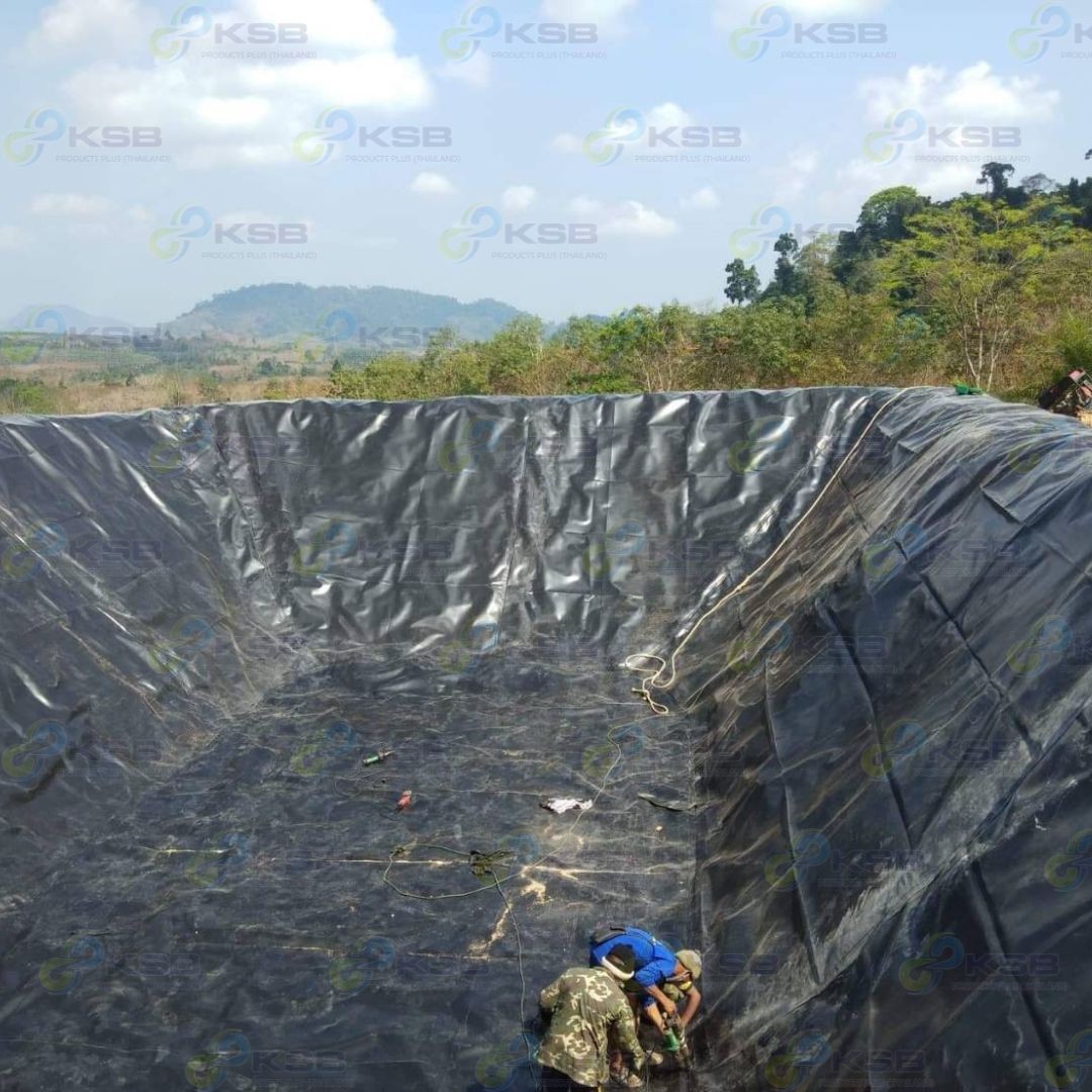 งานปูบ่อHDPE1mmนครศรีธรรมราช3