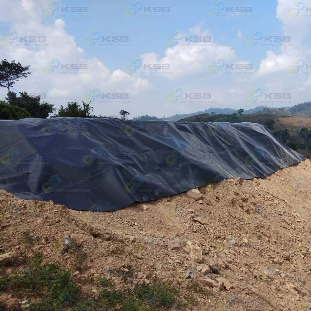 งานปูบ่อHDPE1mmนครศรีธรรมราช