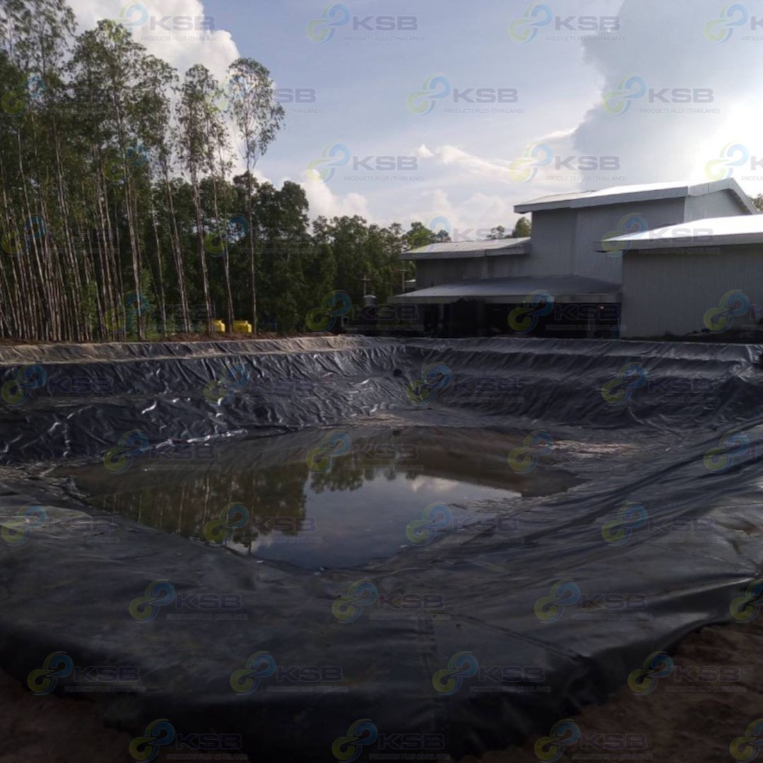 งานปูบ่อHDPE1