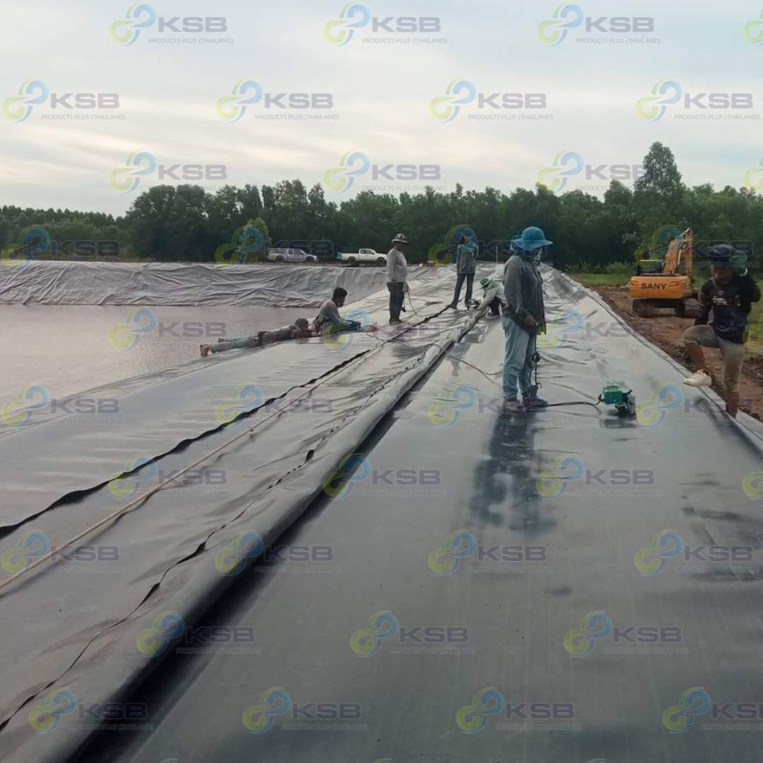 งานปูบ่อHDPE2mmยโสธร2