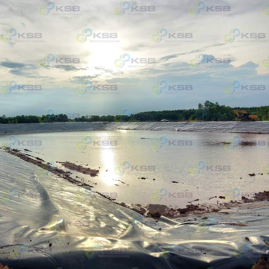 งานปูบ่อHDPE2mmยโสธร3