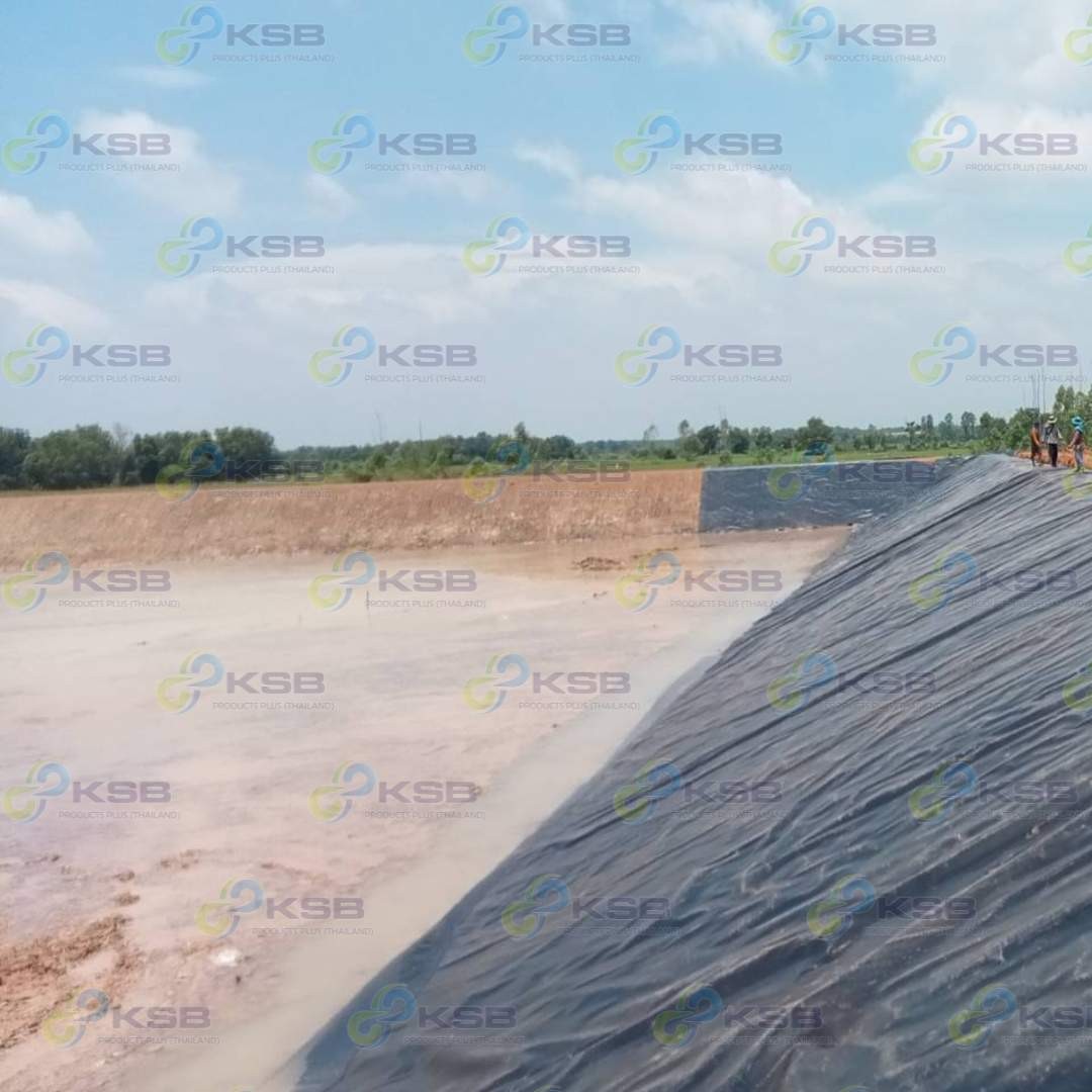 งานปูบ่อHDPE2mmยโสธร