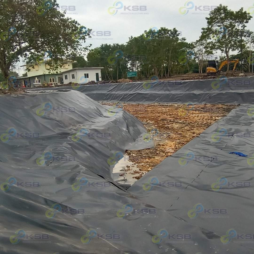 งานปูบ่อHDPE2mmสวนสัตว์คลอง62