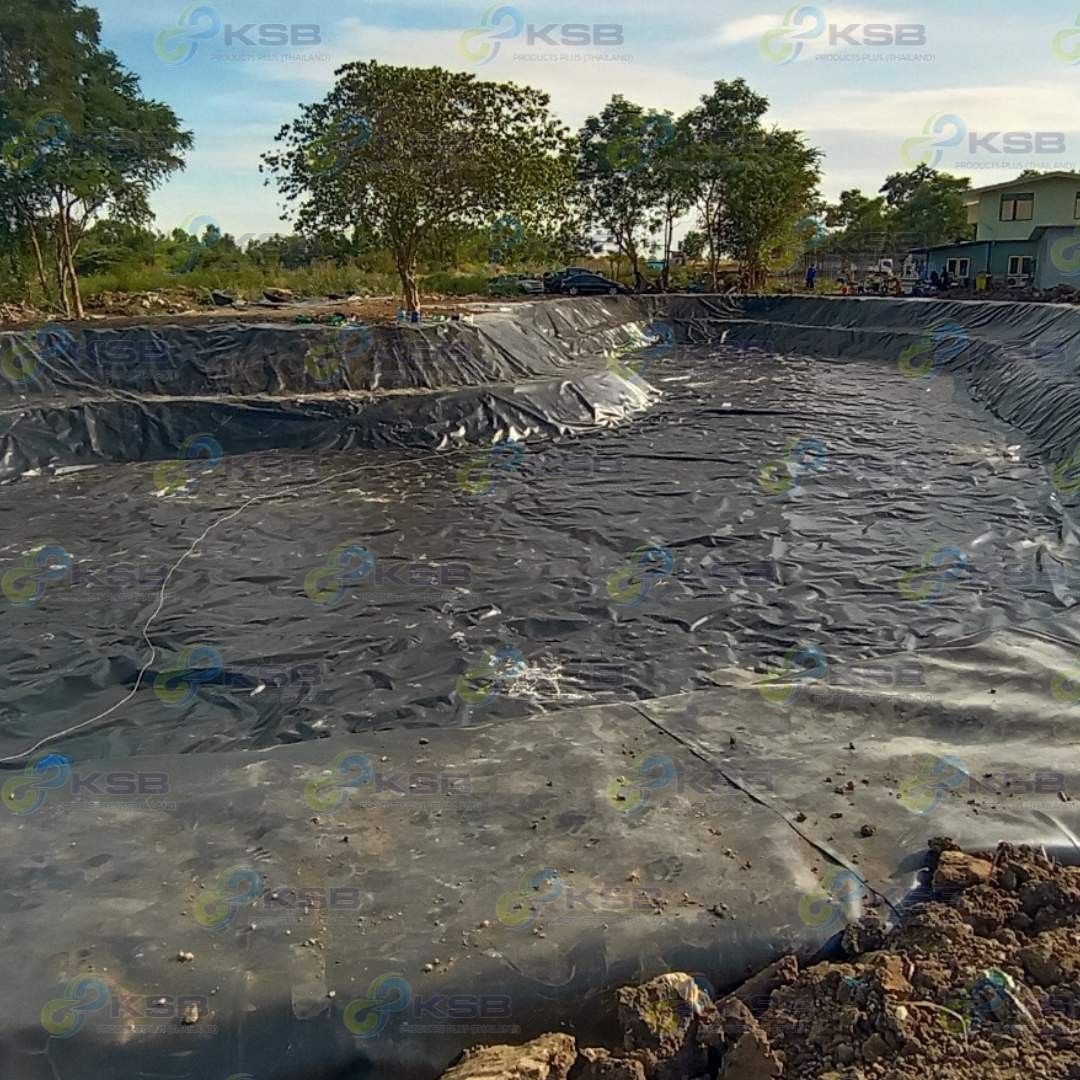 งานปูบ่อHDPE2mmสวนสัตว์คลอง63