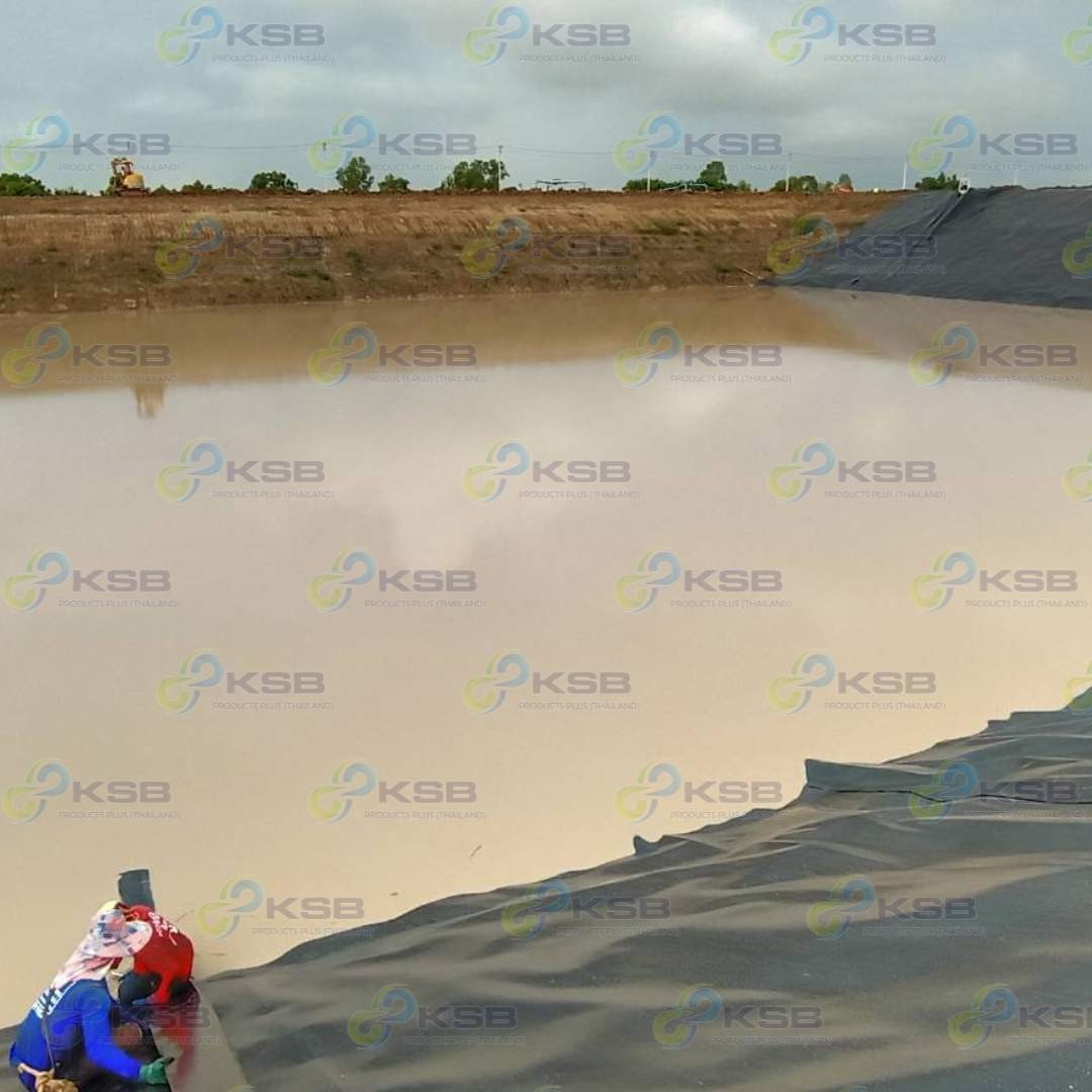 งานปูบ่อHDPE2mmโรงงานน้ำตาล2