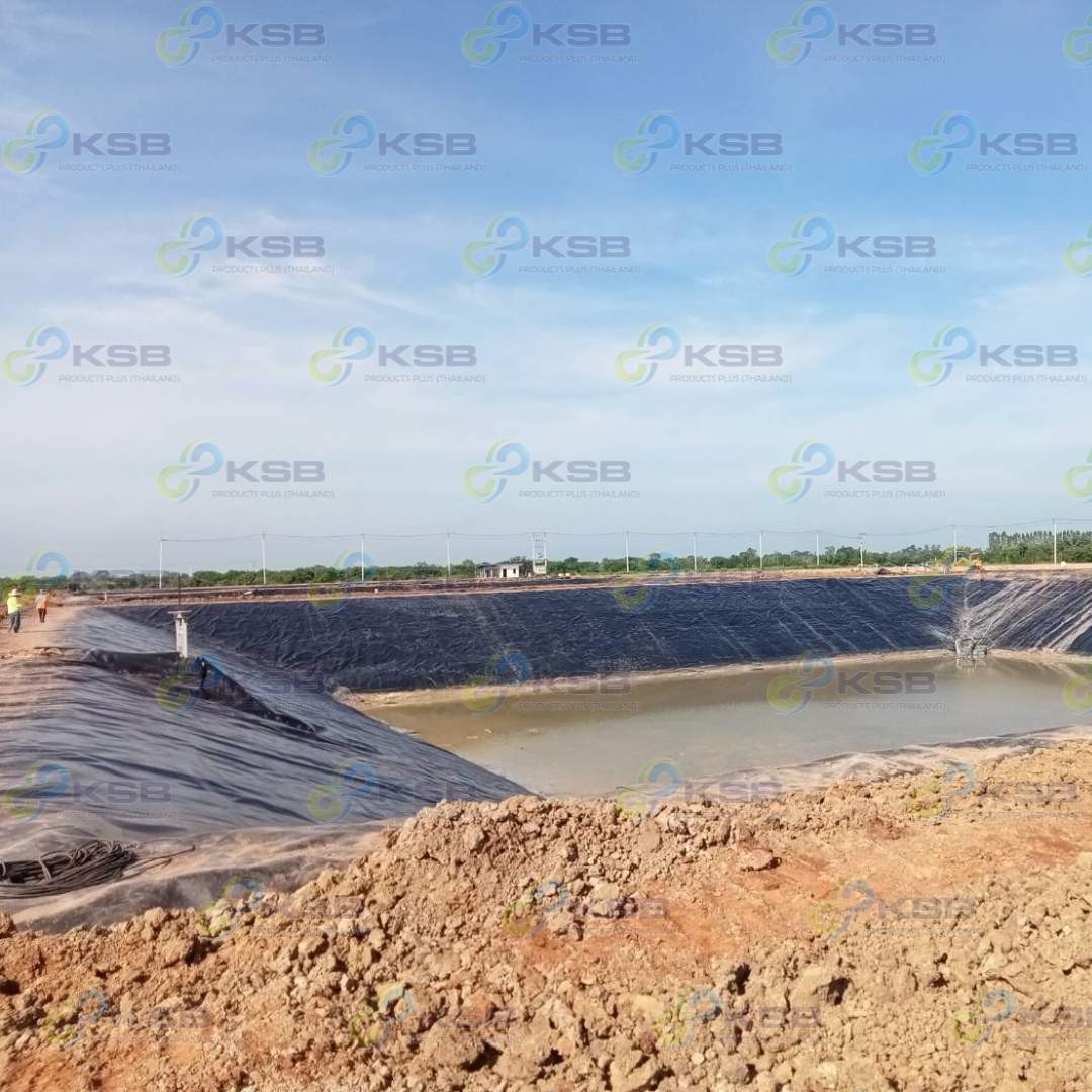 งานปูบ่อHDPE2mmโรงงานน้ำตาล3